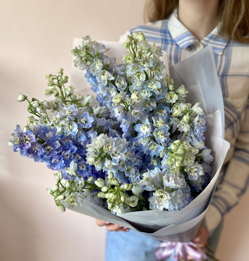 Букет из 17 дельфиниумов