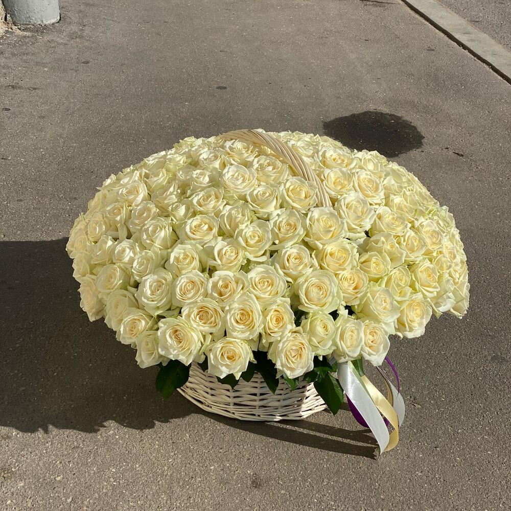 151 белая роза в корзине