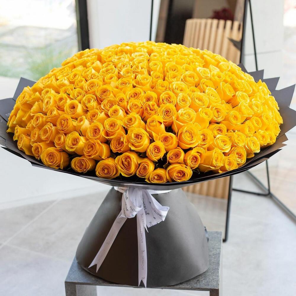 Большой букет роз (301 шт)