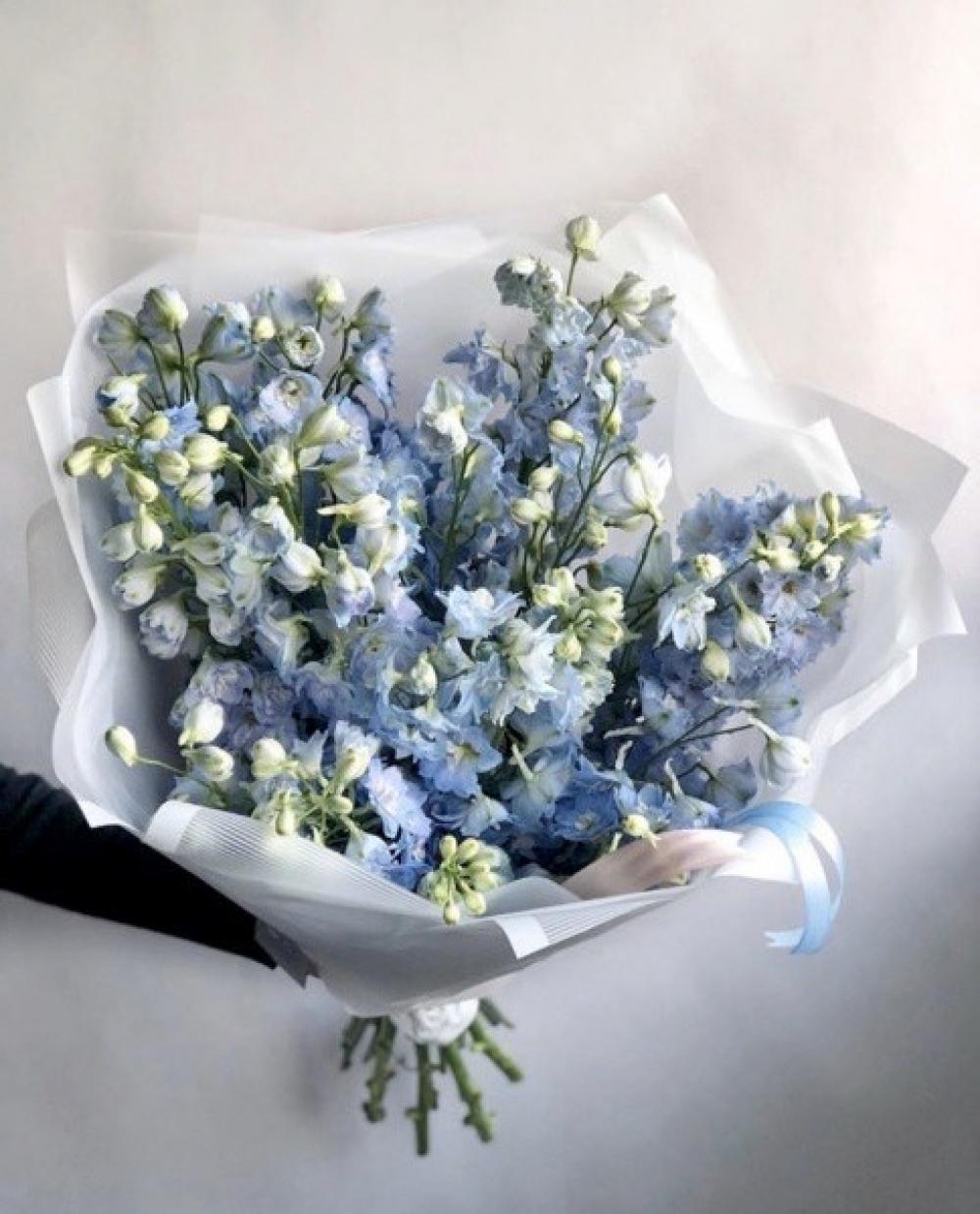 Букет из 25 дельфиниумов