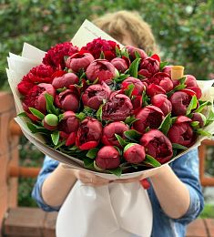 Букет из 33 коллекционных пионов
